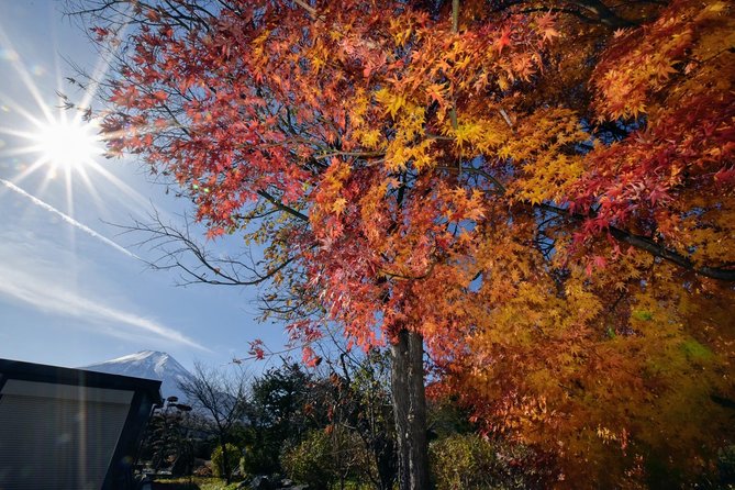 Gotemba Outlet Mall Plus Lake Kawaguchi or Hakone Tour by Chartered Van - Scenic Highlights