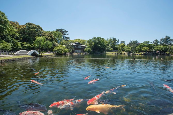 Guided Half-day Tour(AM) to Nagoya Castle & Tokugawa Museum and Garden - Additional Information