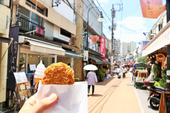 Guided Walking Exploration of Historic Tokyo - Important Information