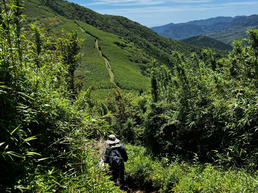 Hakone: Traverse the Hakone Caldera and Enjoy Onsen - Important Information