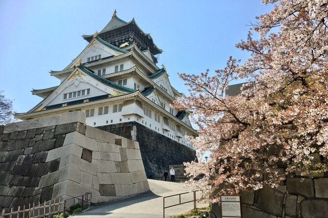 Half-Day Private Guided Tour to Osaka Castle - Accessibility Information