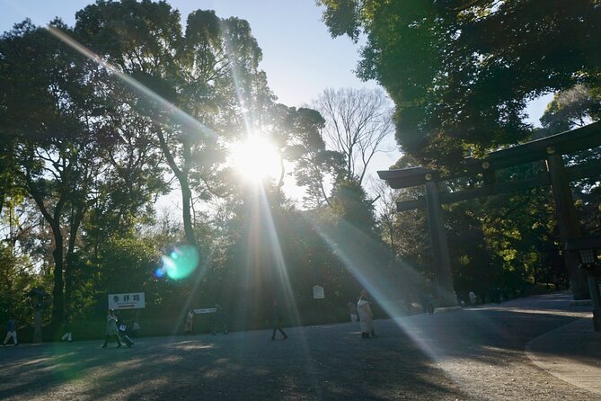 Harajuku Meiji Shrine 1 Hour Explanation Tour - Transportation