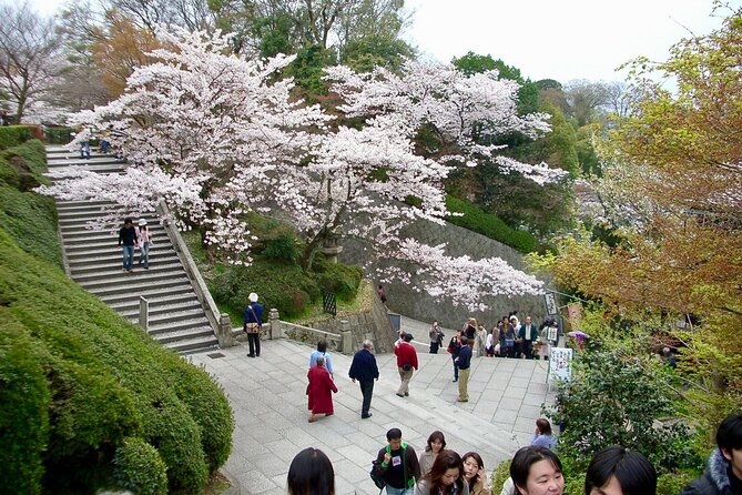 Higashiyama Kiyomizudera and Yasaka Shrine Discovery Walking Tour - Tour Expectations