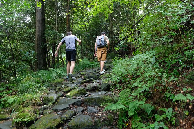 Hike Japan Heritage Hakone Hachiri With Certified Mountain Guide - End Point