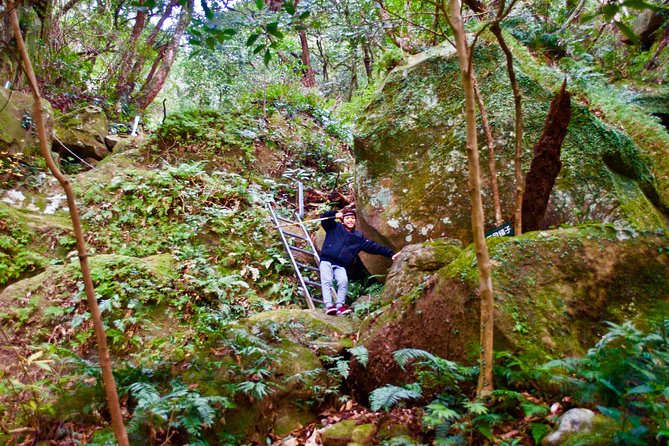 Hike Rope Ladders Miyazaki Japan - Requirements and Cancellation Policy