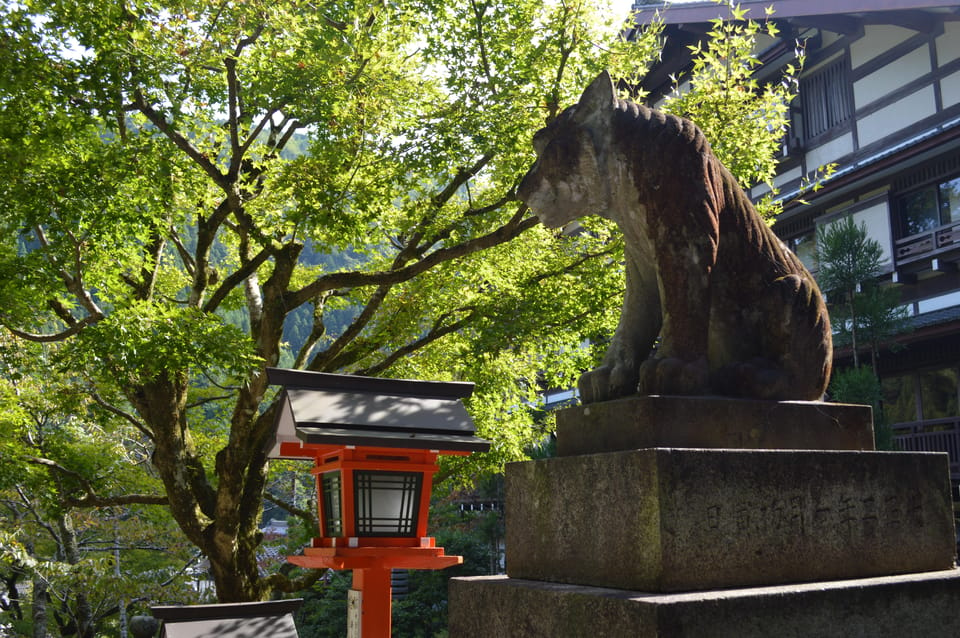 Hike the Mystic Northern Mountains of Kyoto - Guided Hike to Kurama Mountain