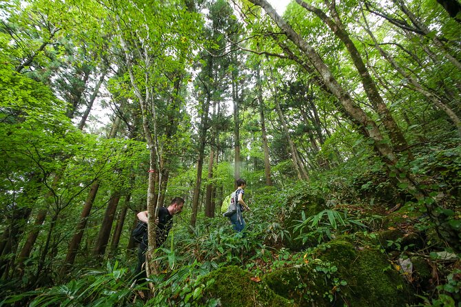 Hike up Mt. Omine and Enjoy the View of Miyajima - Start Time