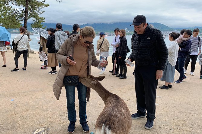 Hiroshima / Miyajima Full-Day Private Tour With Government Licensed Guide - Accessibility Information