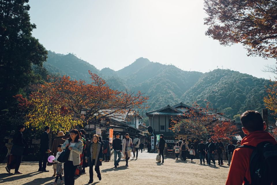 Hiroshima: Private Half-Day Miyajima Tour - Tour Highlights and Review Summary