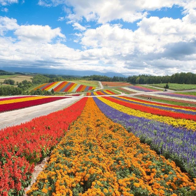 Hokkaido: Biei Blue Pond and Furano Flower Farm Day Trip - Inclusions in the Package