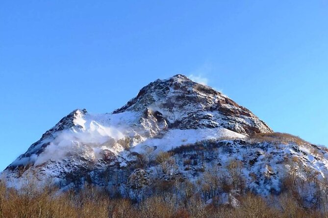 Hokkaido Day Tour From Sapporo: With Bear Park Option - Reviews and Recommendations