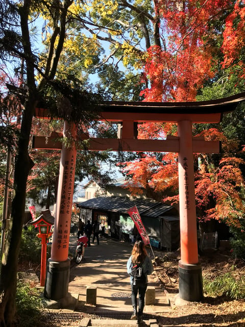 Inside of Fushimi Inari - Exploring and Lunch With Locals - Experience Description