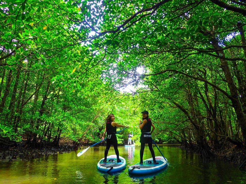 Iriomote Island: Kayaking and Canyoning Tour - Cancellation Policy and Pickup Details