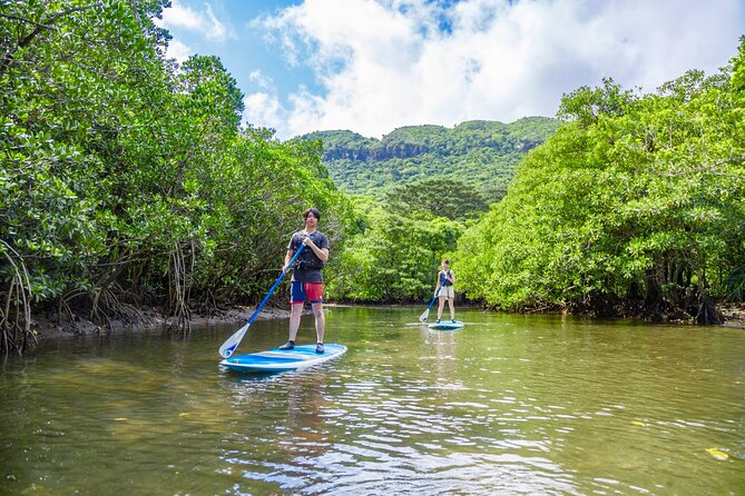 [Iriomote]Sup/Canoe Tour + Sightseeing in Yubujima Island - Pricing and Guarantee