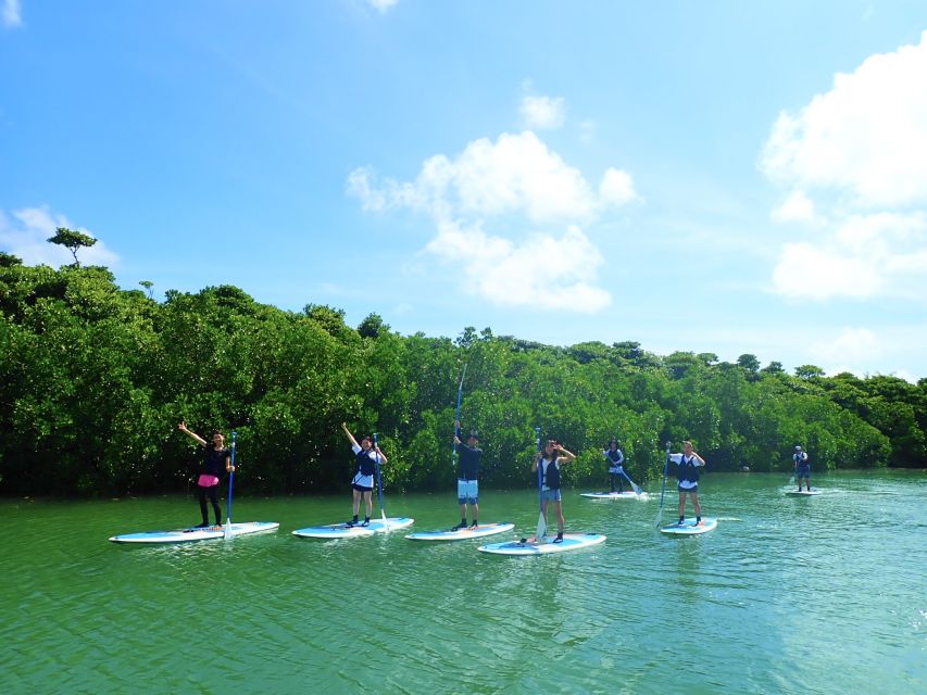 Ishigaki Island: 2-Hour Miyara River Kayaking Tour - Important Information