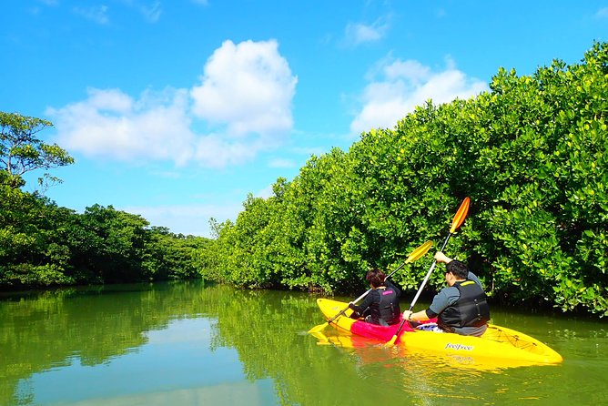 [Ishigaki]Mangrove SUP/Canoe Tour - Pricing and Reviews