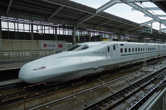 Japan Railway Station Shared Arrival Transfer : Shin Osaka Station to Osaka City - Cancellation Policy