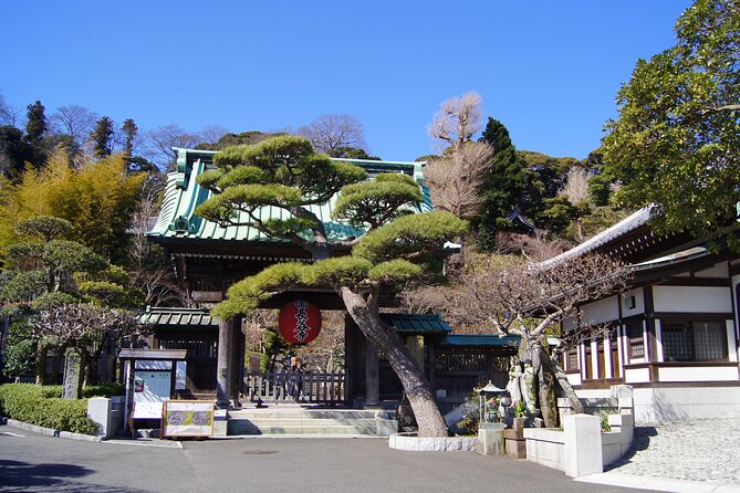 Kamakura Half Day Walking Tour With Local Experience - End Point and Additional Info