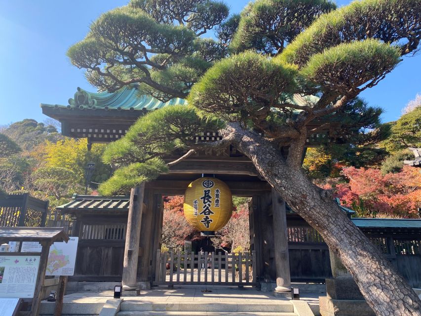 Kamakura & Yokohama: Tour Summary - Directions