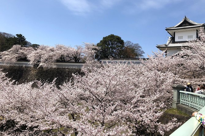 Kanazawa Highlights Tour Including Kenrokuen Garden - Tour Experiences