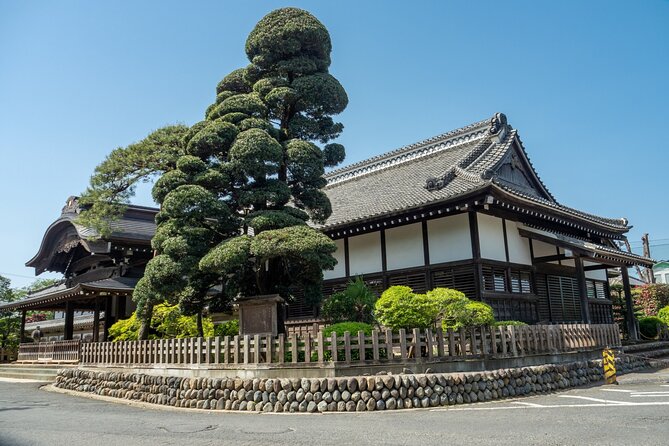 Kawagoe Sightseeing and Experience Tour to Harvest Local Foods - Culinary Delights