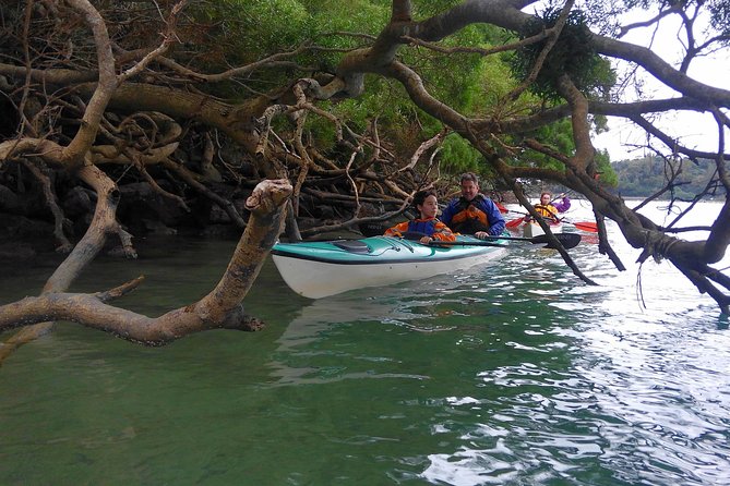 Kayak Mangroves or Coral Reef: Private Tour in North Okinawa - Tour Highlights