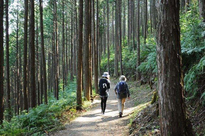 Kumano Kodo Pilgrimage Full-Day Private Trip With Government Licensed Guide - Pricing Details