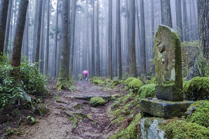 Kumano Kodo Pilgrimage Tour With Licensed Guide & Vehicle - Cancellation Policy