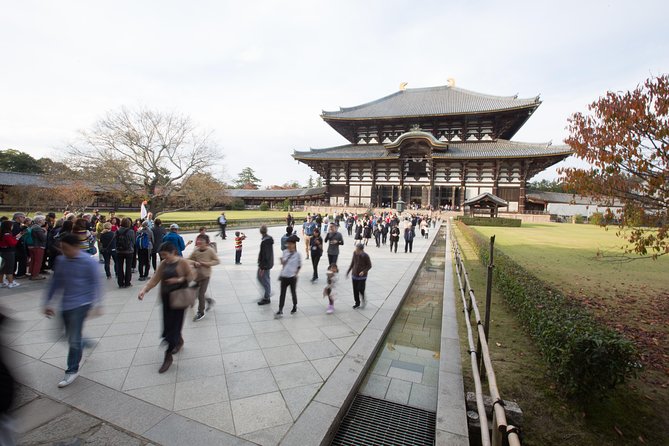 Kyoto and Nara 1 Day Trip - Golden Pavilion and Todai-Ji Temple From Kyoto - Reviews Overview