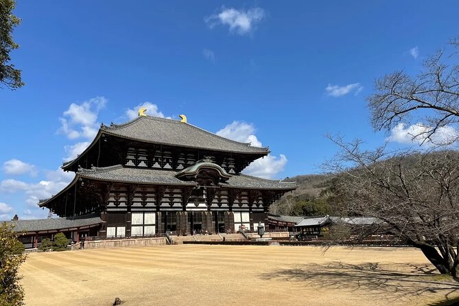 Kyoto and Nara Park Day Tour From Osaka/Kyoto. - Accessibility and Itinerary