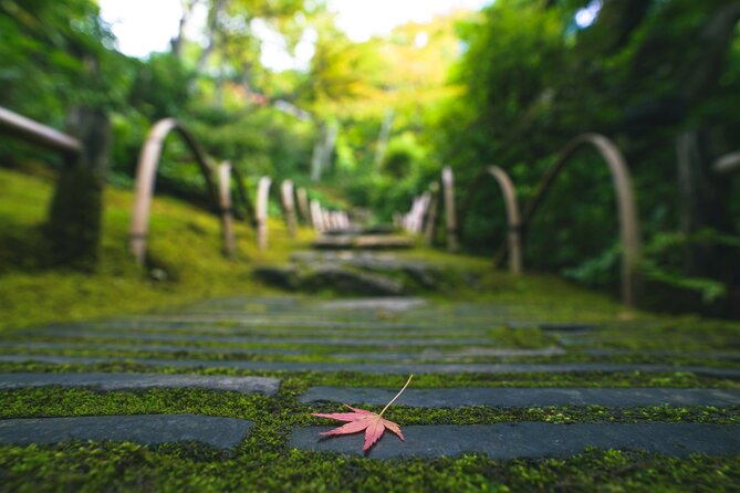 Kyoto Arashiyama Bamboo Forest & Garden Half-Day Walking Tour - Customer Reviews and Ratings