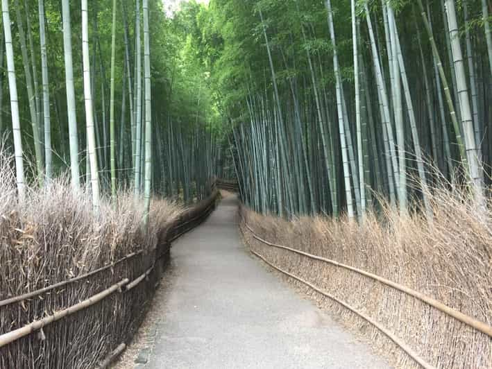 Kyoto, Arashiyama: Bamboo Grove Half-Day Private Guided Tour - Important Information