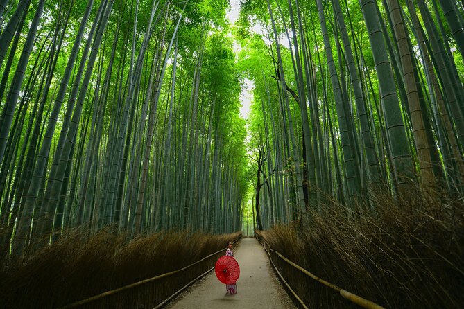 Kyoto: Arashiyama Bamboo, Temple, Matcha, Monkeys & Secret Spots - Tour Experiences