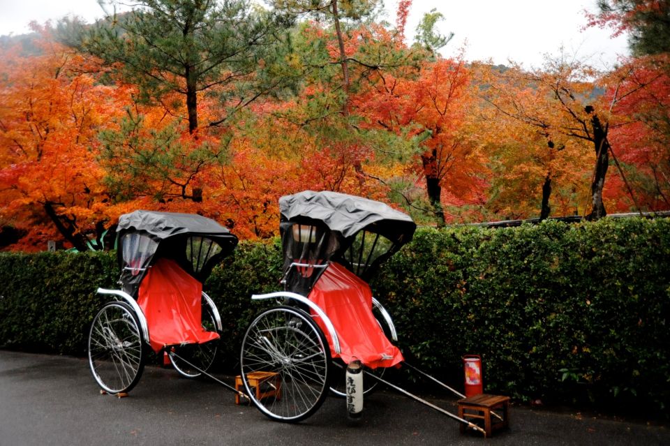 Kyoto: Arashiyama Customized Rickshaw Tour & Bamboo Forest - Available Options