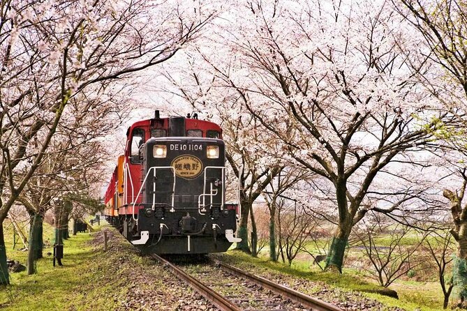 Kyoto Arashiyama Sanzen In Temple Day Tour - Group Size and Pricing