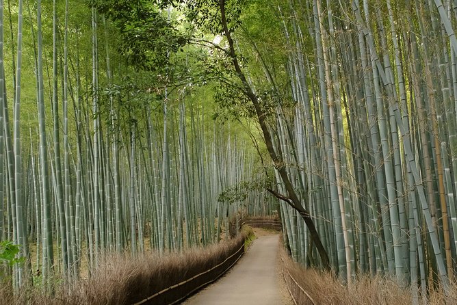 Kyoto Bamboo Forest Electric Bike Tour - Additional Information