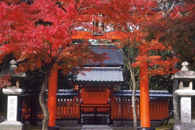 Kyoto Day Tour Tenryu-ji Temple Arashiyama Grove and Kinkaku-ji - Reviews and Cancellation Policy