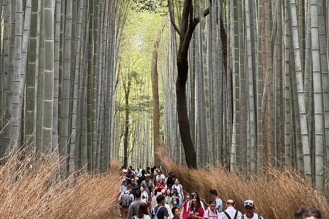 Kyoto : Treasures of Gion & Historical Walking Tour With a Guide - Pricing and Group Size