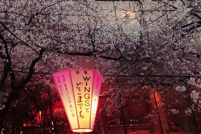 Licensed Guide Tokyo Meguro Cherry Blossom Walking Tour - Reviews