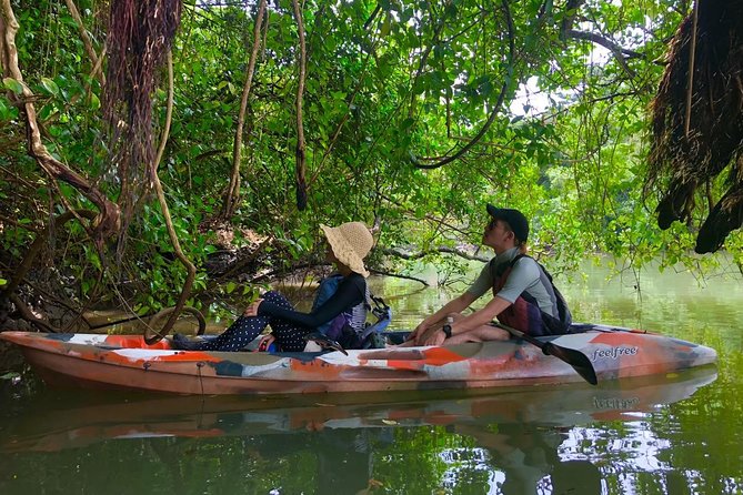 Mangrove Kayaking to Enjoy Nature in Okinawa - All-Ages Friendly Adventure