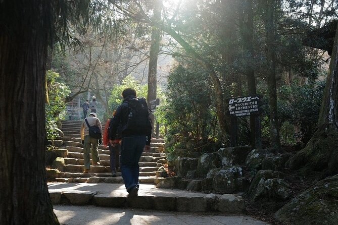 Miyajima Island Tour With Certified Local Guide - Booking Information