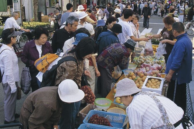 Morioka Full-Day Private Tour With Government-Licensed Guide - Pricing and Booking