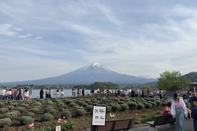 Mount Fuji and Surroundings Full Day Private Tour - Frequently Asked Questions