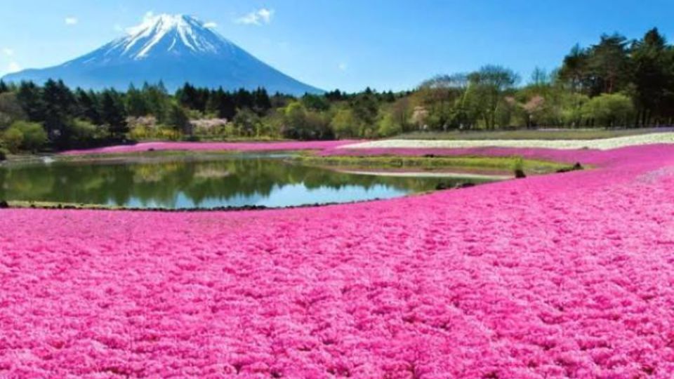 Mount Fuji Full Day Adventure Tour by Car With Pick-Up - Frequently Asked Questions