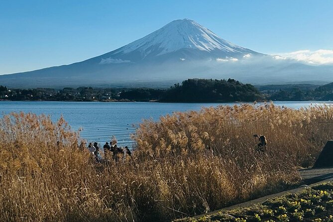 Mount Fuji Full Day Private Tour - Price