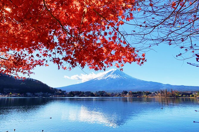 Mount Fuji/Hakone/Tokyo Private Charter Car Tour 10 Hours - Booking Confirmation and Price