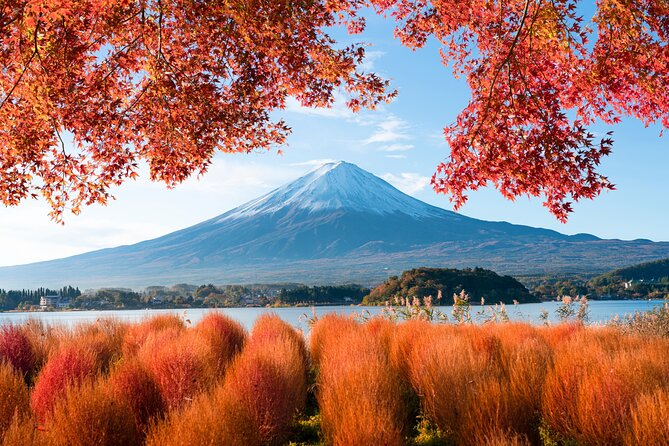 Mount Fuji Private Tour by Car - English Speaking Driver - Important Tour Information