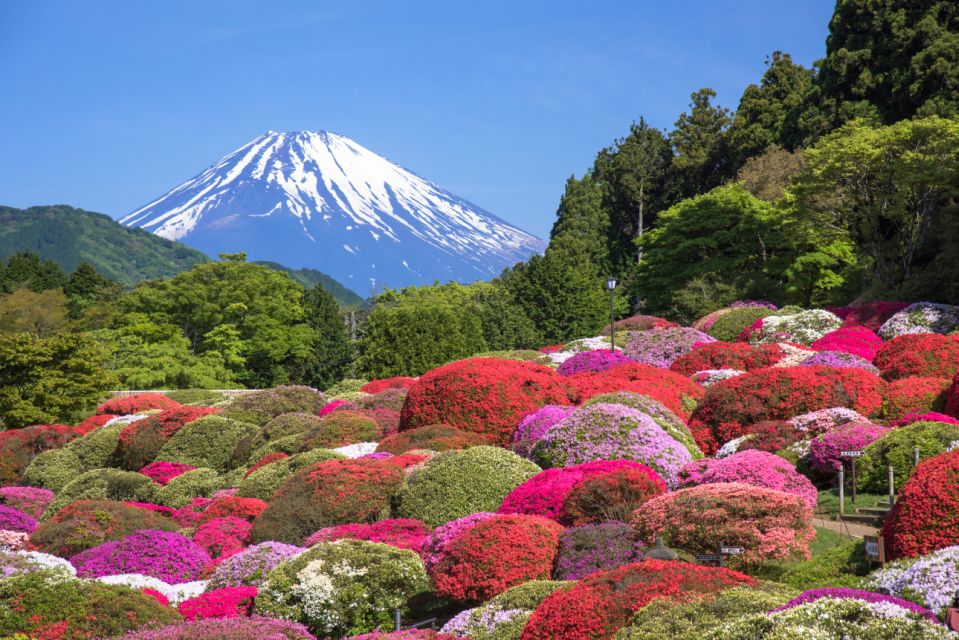 Mt.Fuji and Hakone Tour - Highlights