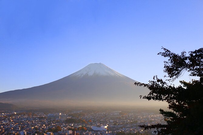 Mt. Fuji and Lake Kawaguchi Day Trip With Private Car - Recommendations for Improvement