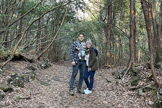 Mt. Fuji Aokigahara Jukai Forest Private Tour With Licensed Guide ...